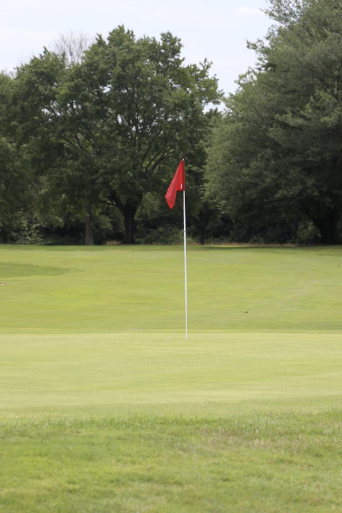 Red flag in the middle of grass.